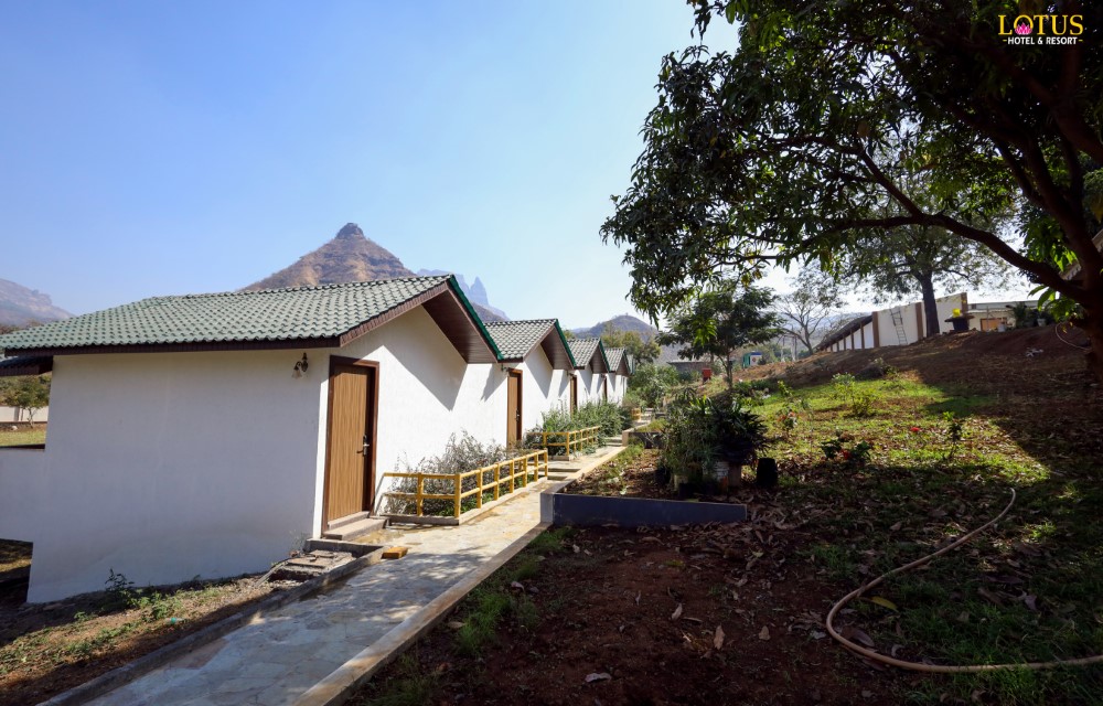 Lotus Hotel & Resort Slider Pictures